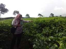 Dr. Sri Wahyu Suciyati, S.Si., M.Si
